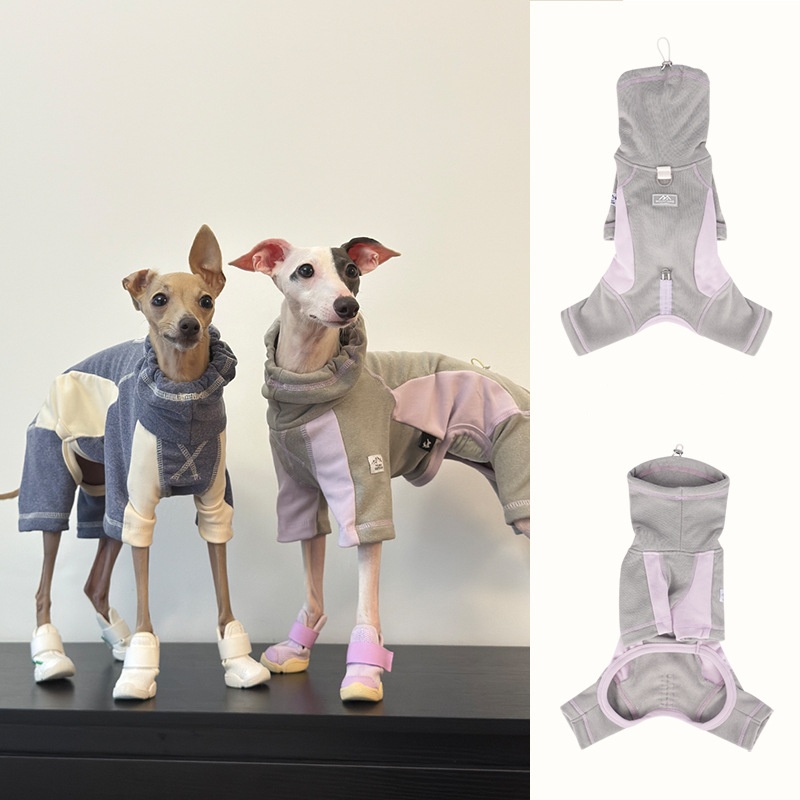 Dog Clothes for Autumn and Win - Winter Clothing Leg Warmers recension och pris