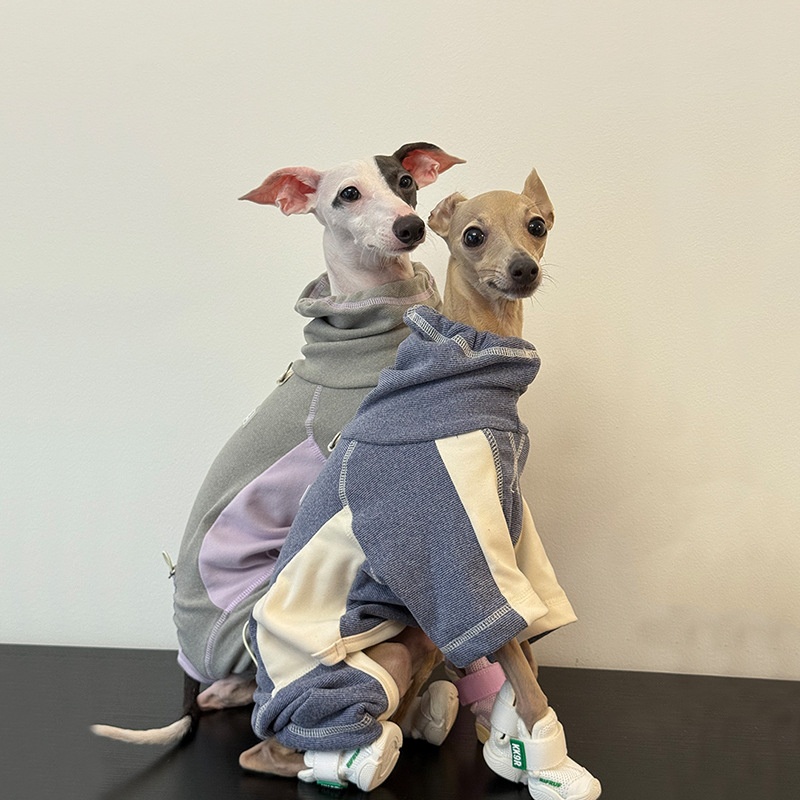 Dog Clothes for Autumn and Win - Winter Clothing Leg Warmers recension och pris