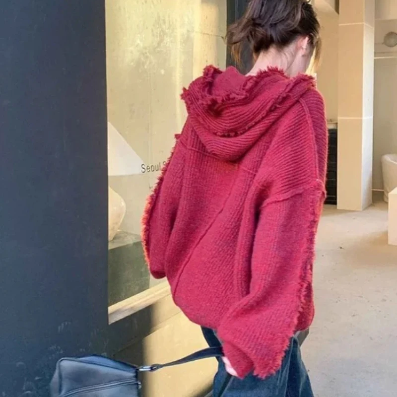 Autumn and Winter Thick Hoodie - Winter Clothing Essentials For Women recension och pris