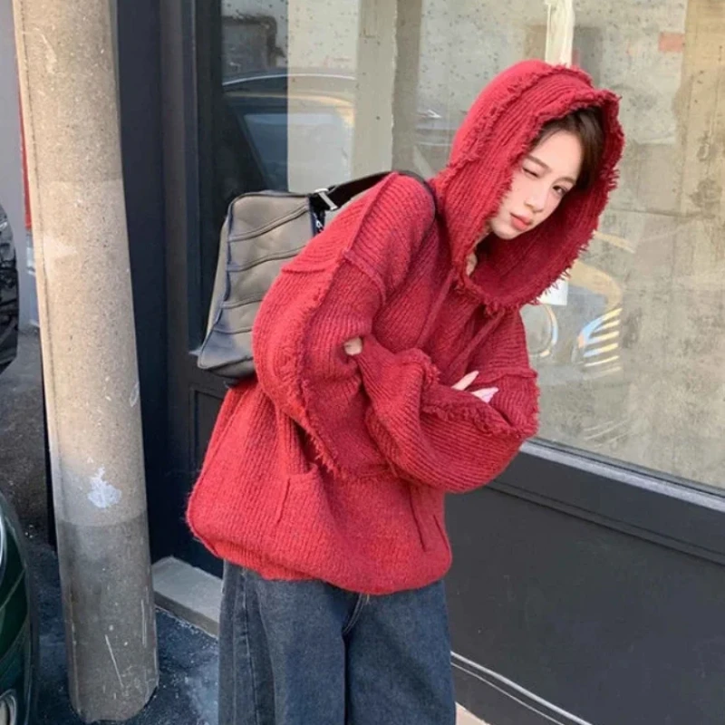 Autumn and Winter Thick Hoodie - Winter Clothing Essentials For Women recension och pris